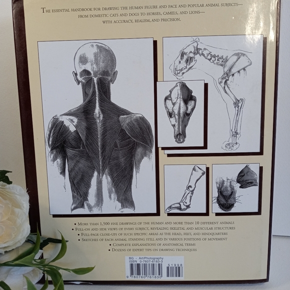 Cyclopedia Anatomicae. Anatomy's Book. Science book. Human Anatomy. Animal - Picture 4 of 16
